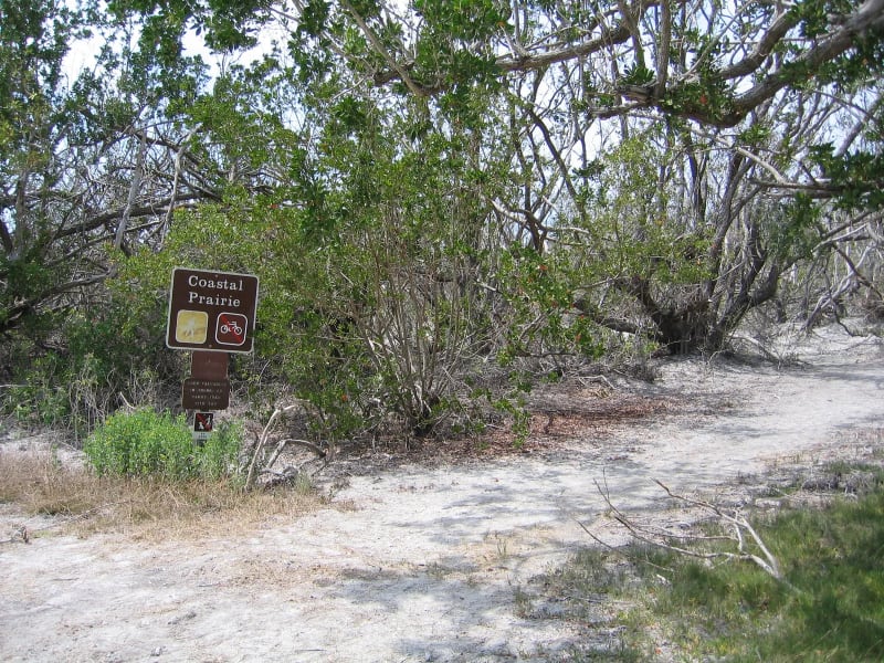 Miami → Everglades NP