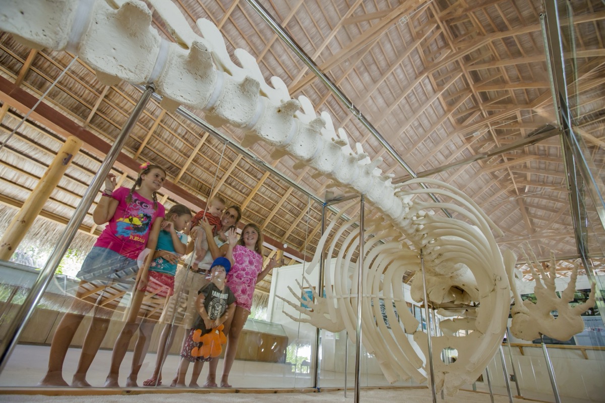 Eco Centre — descubre la vida marina y el compromiso medioambiental