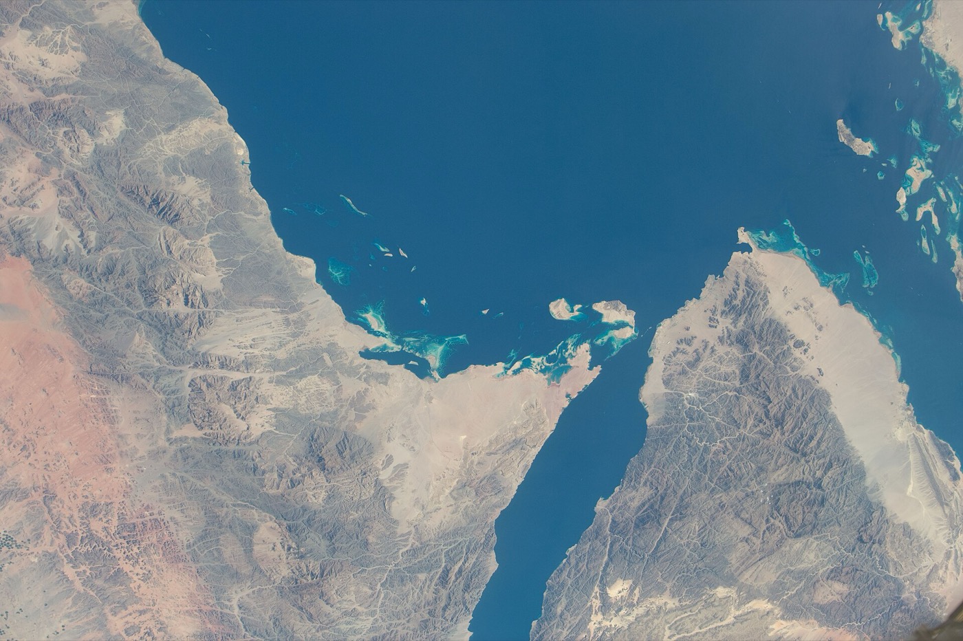 Buceo en Arabia Saudita