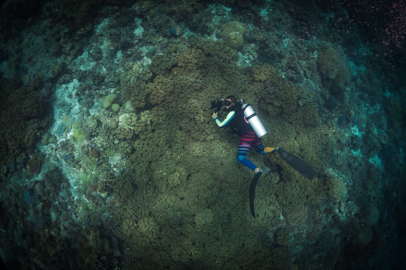 Buceo en Filipinas