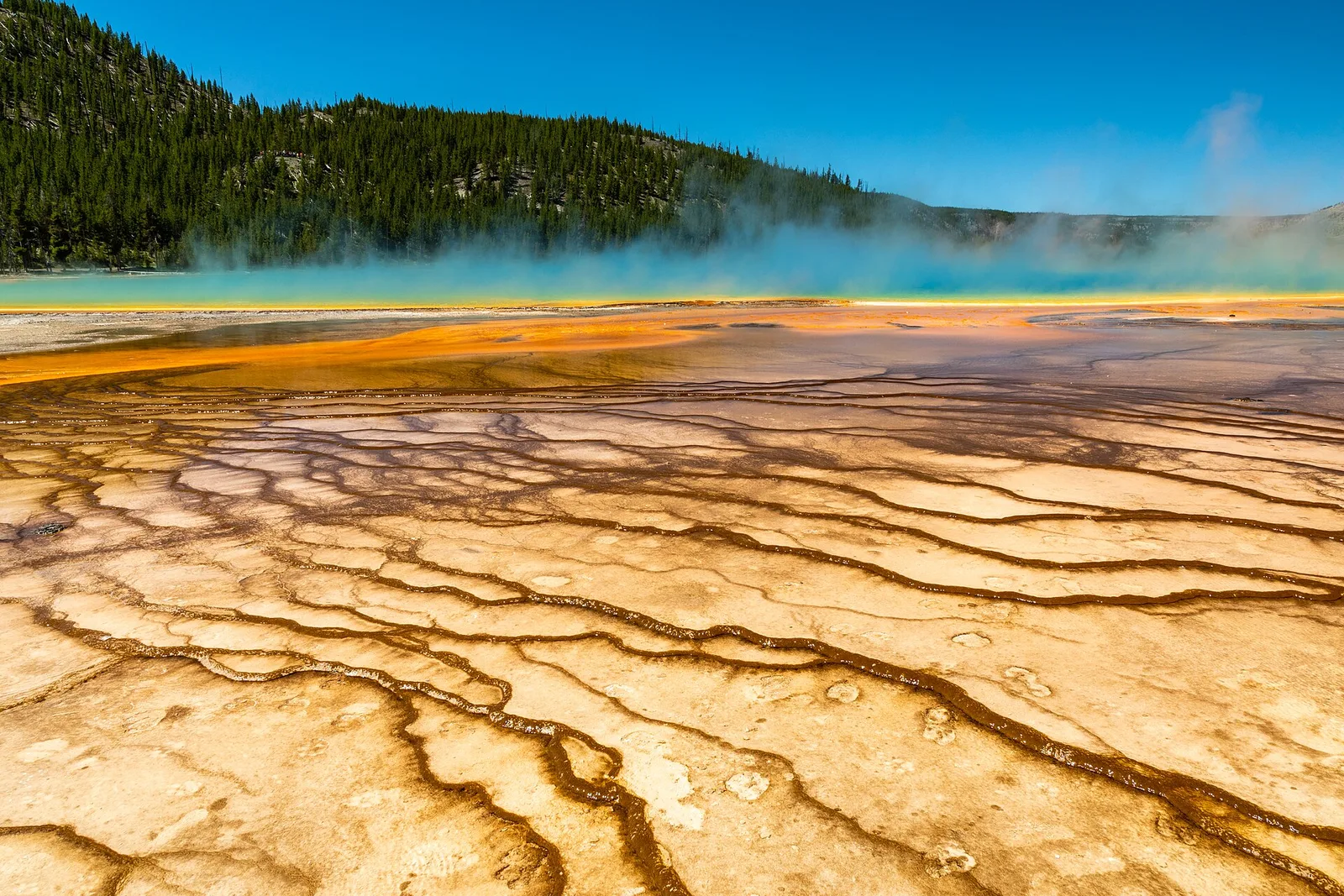 Old Faithful + Grand Prismatic