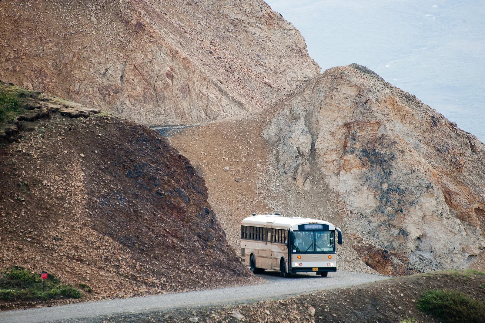 Denali — bus tour