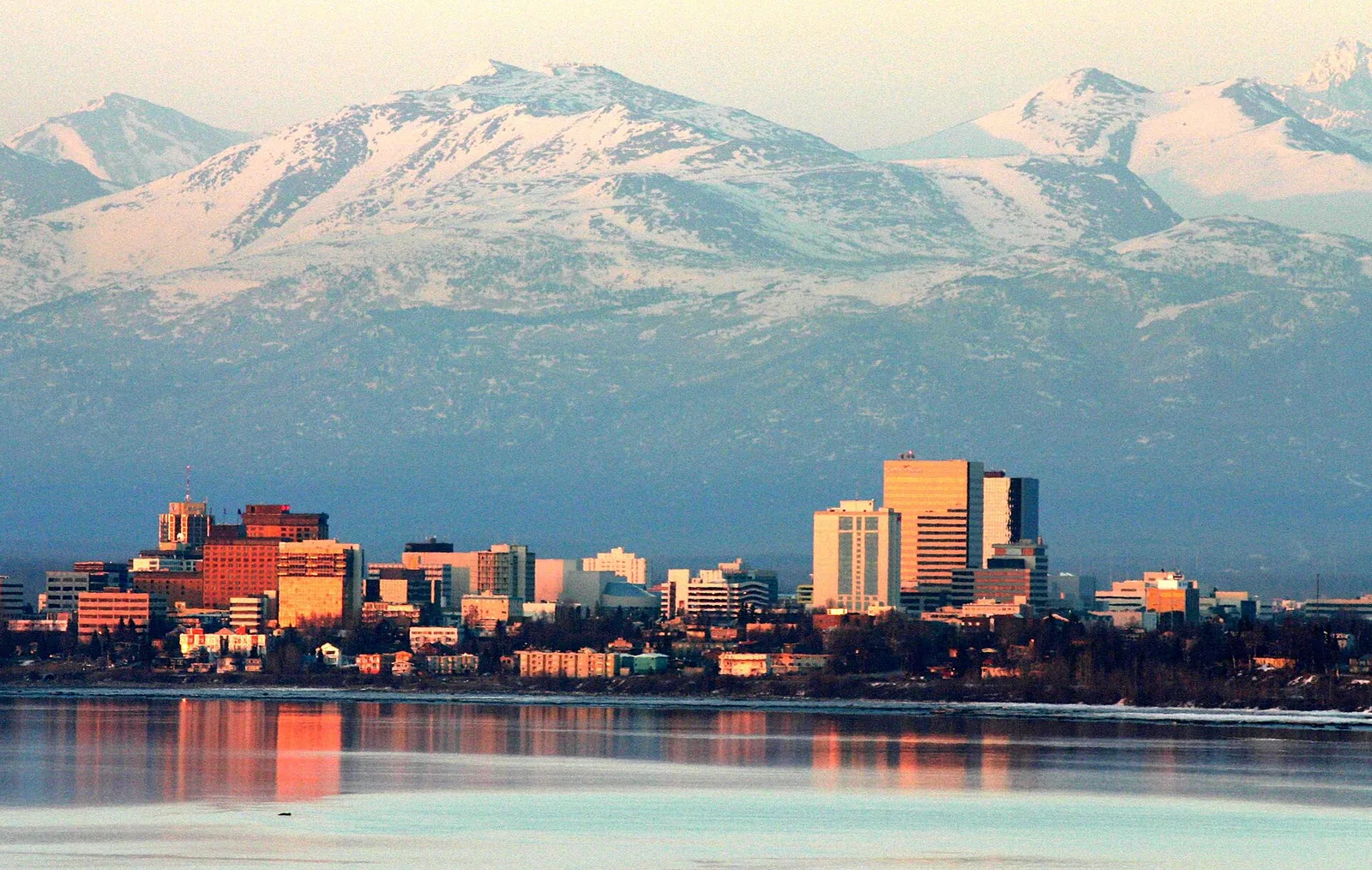 Coldfoot → Anchorage (vuelta)