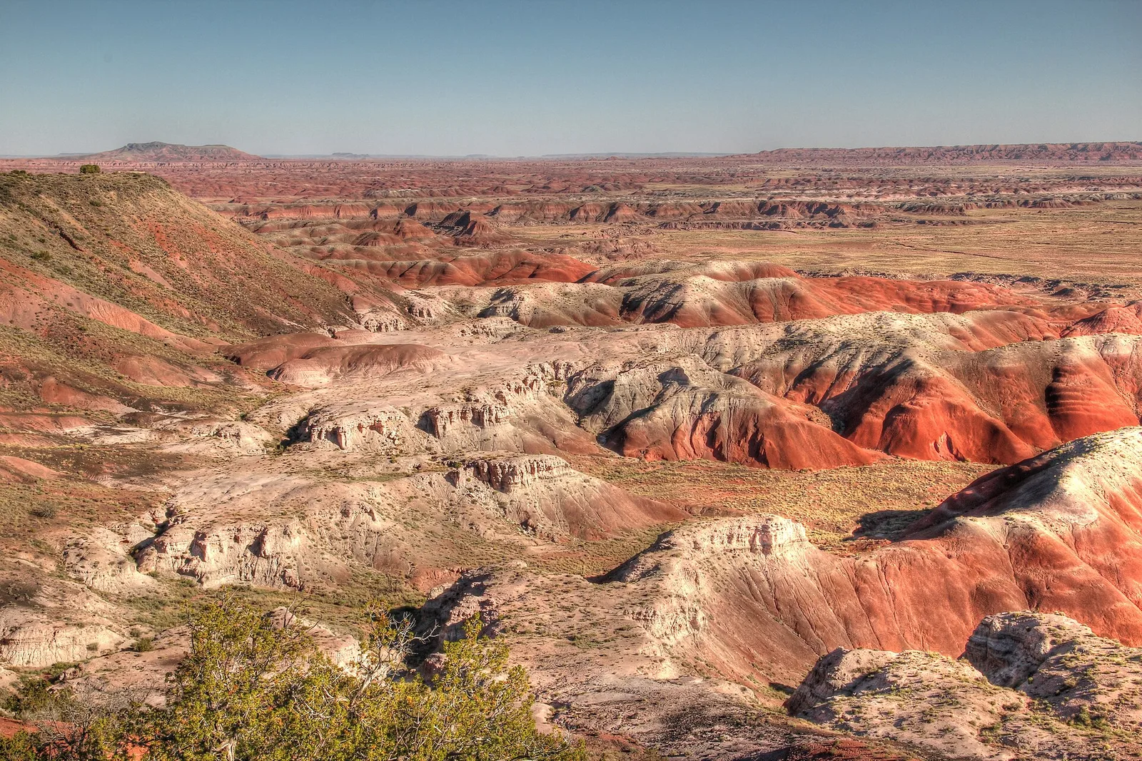 Gallup → Holbrook → Petrified Forest