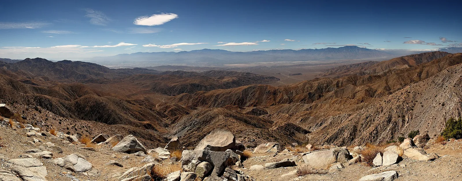 Joshua Tree → Indio (entrega)