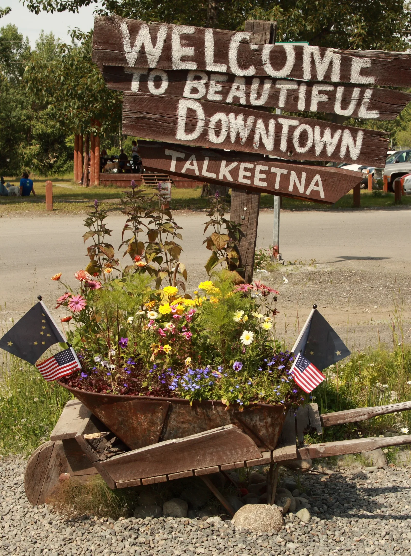 Denali flightseeing + town