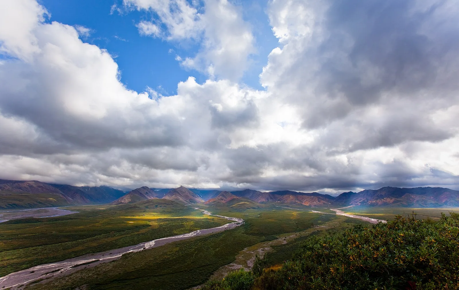 Denali NP wildlife bus → Anchorage