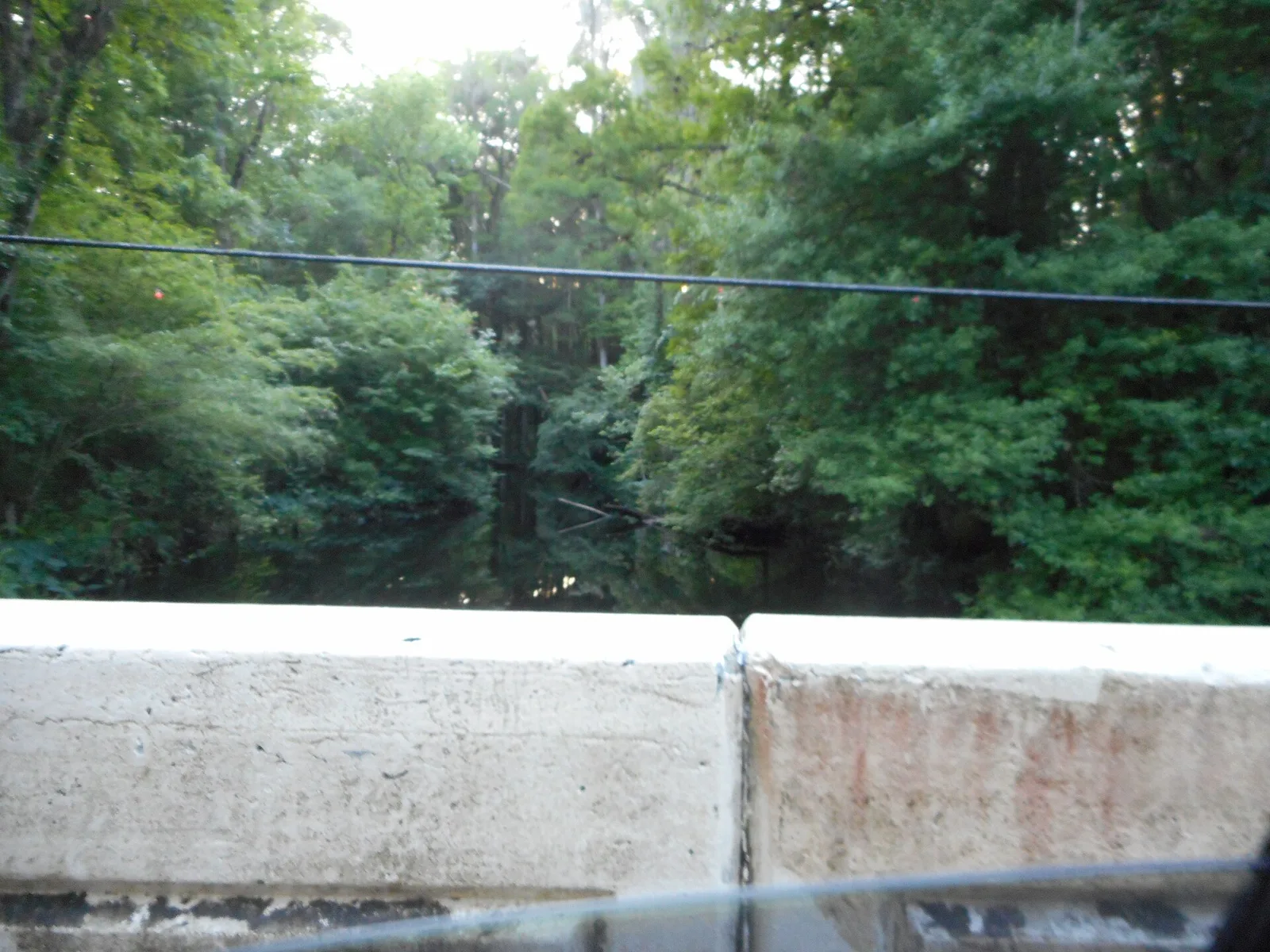 Tampa → Crystal River
