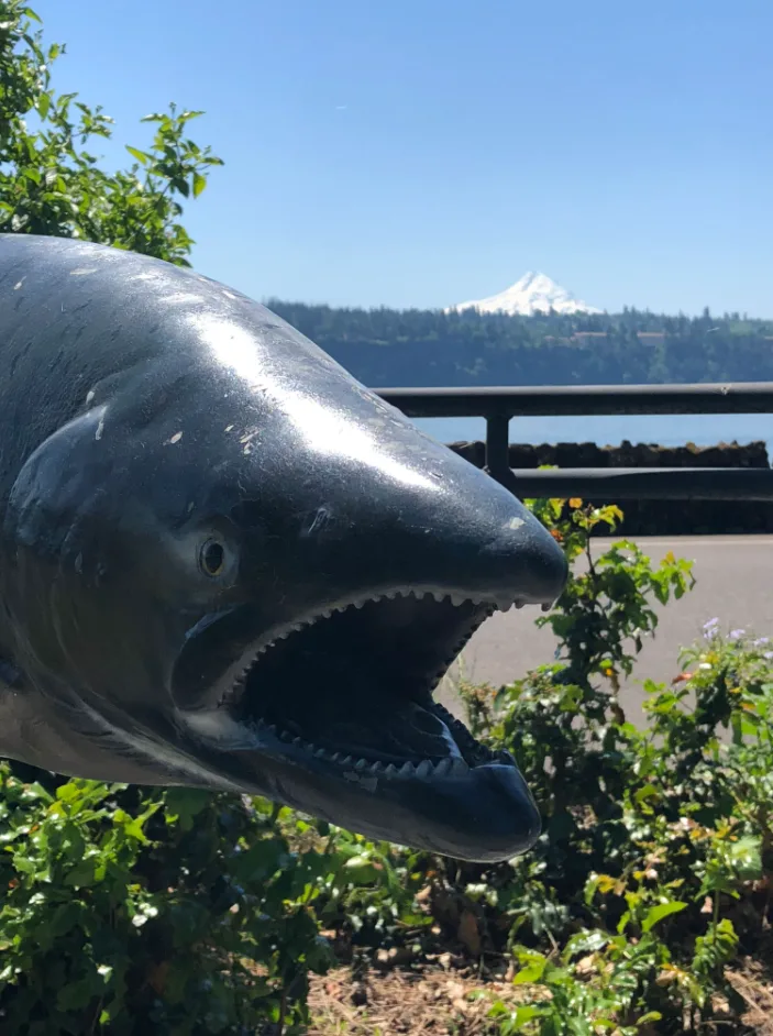 Portland → Multnomah Falls → Hood River