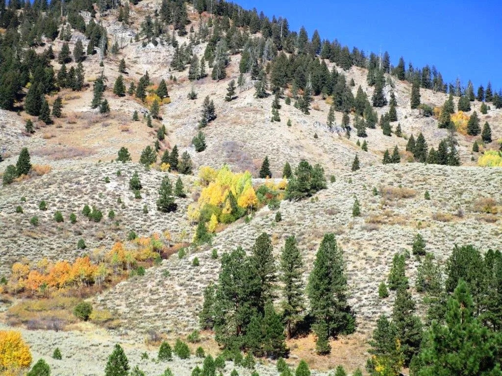 Boise → Stanley (Sawtooth gateway)