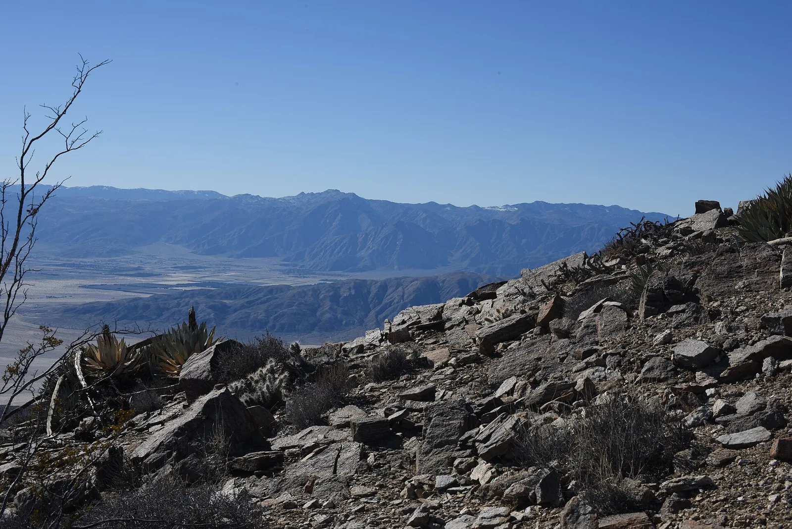 San Diego → La Jolla → Anza-Borrego