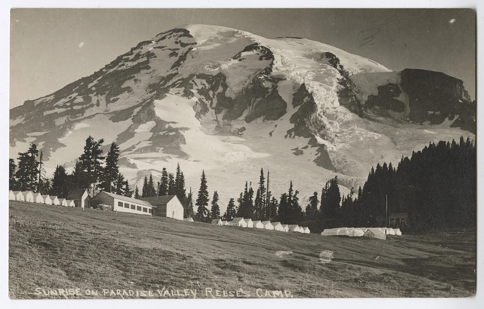 Seattle → Mt Rainier (Paradise)
