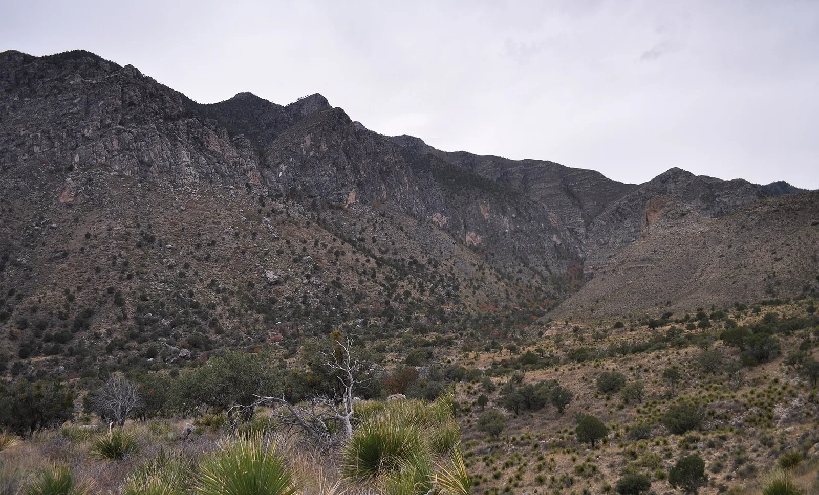 El Paso → Guadalupe Mountains NP