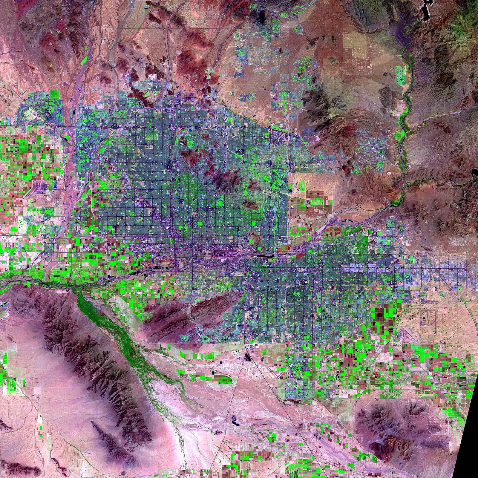 Phoenix → Tucson + Saguaro NP