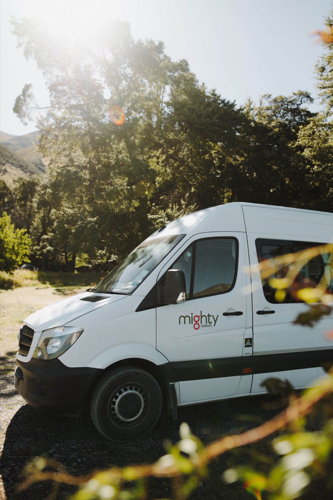 Catlins, Bluff y Stewart Island — extremo sur NZ 6 días