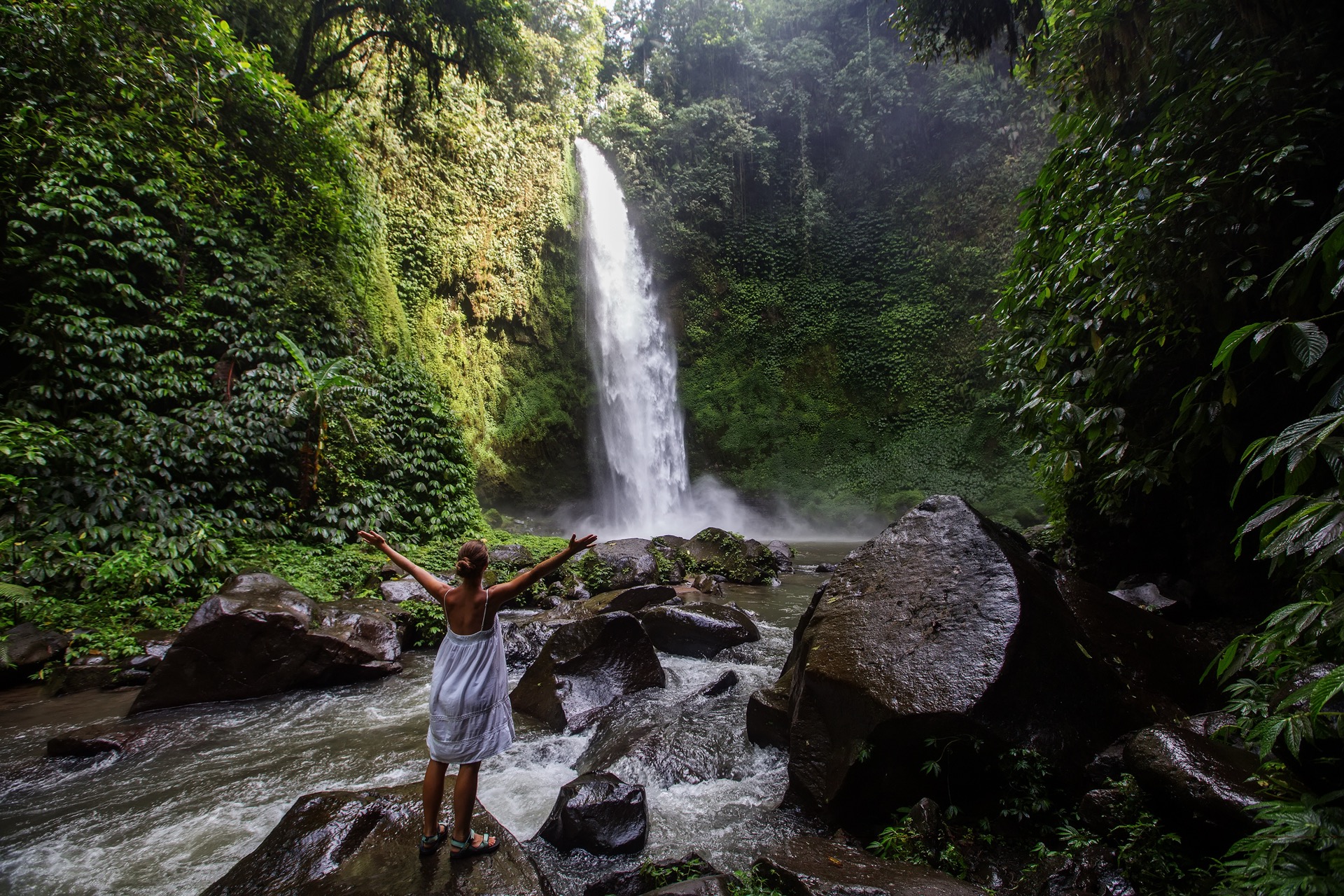 Tropics QLD — Atherton Tablelands y Cape Tribulation