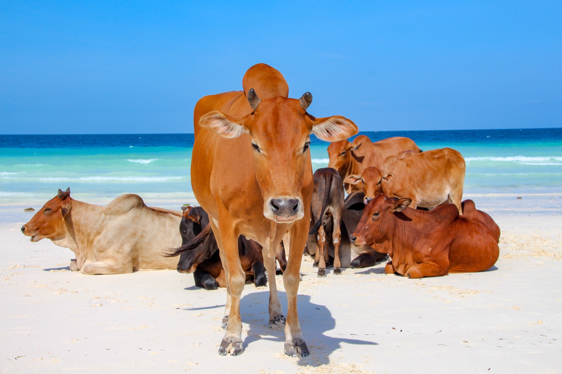 De Perth a Broome — costa oeste y Pilbara