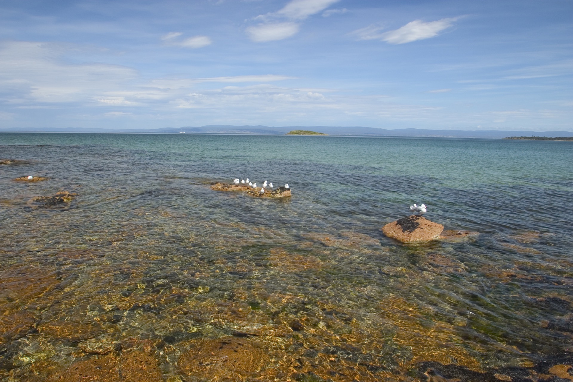 Melbourne + Tasmania (con Spirit ferry)