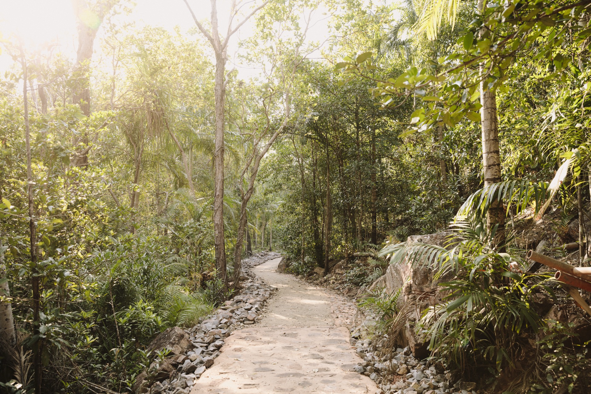 Cape York Telegraph Track — punta norte de Australia (4WD)