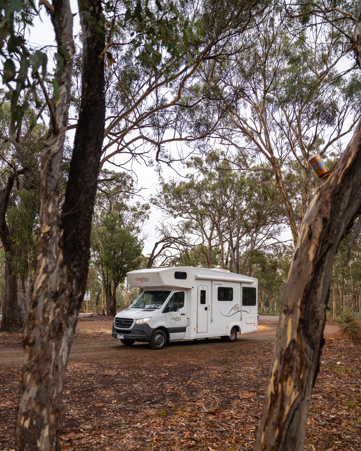 Margaret River + Albany — Costa sur de WA en profundidad