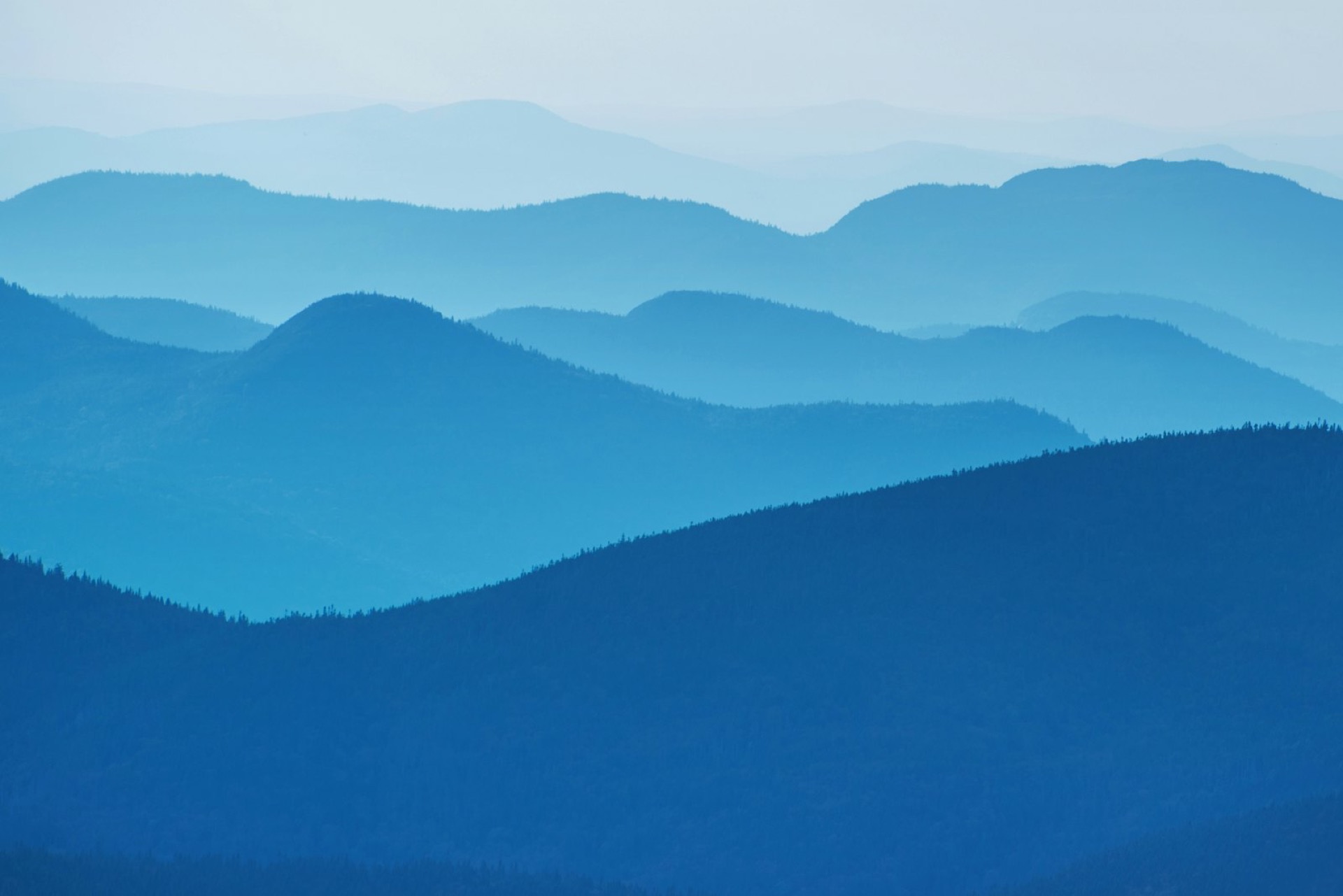 Great Smoky Mountains + Blue Ridge Parkway