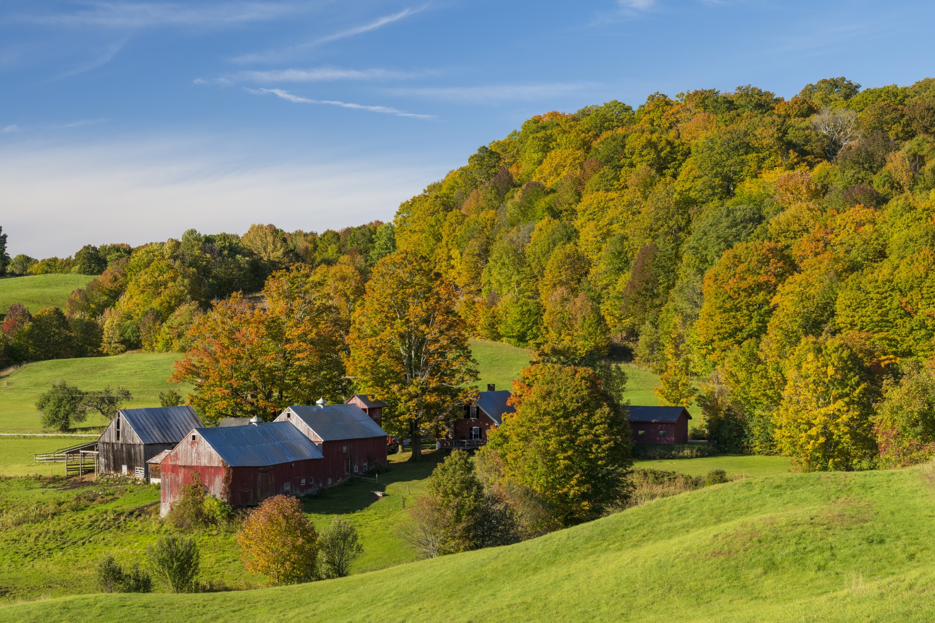 Natchez Trace + Mississippi Delta — historia de Estados Unidos 9 días
