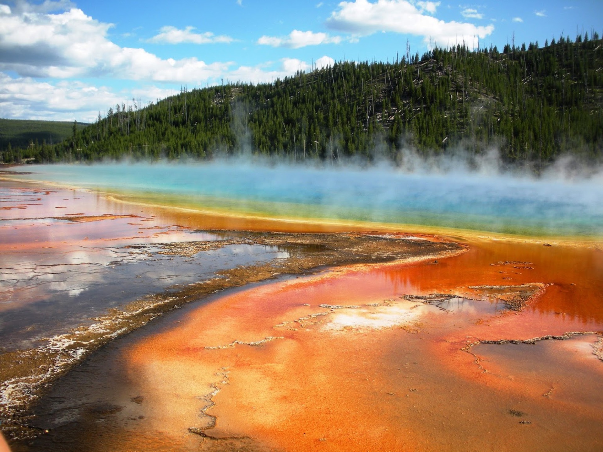 Yellowstone, Tetons y Glacier — triángulo Rockies 14 días