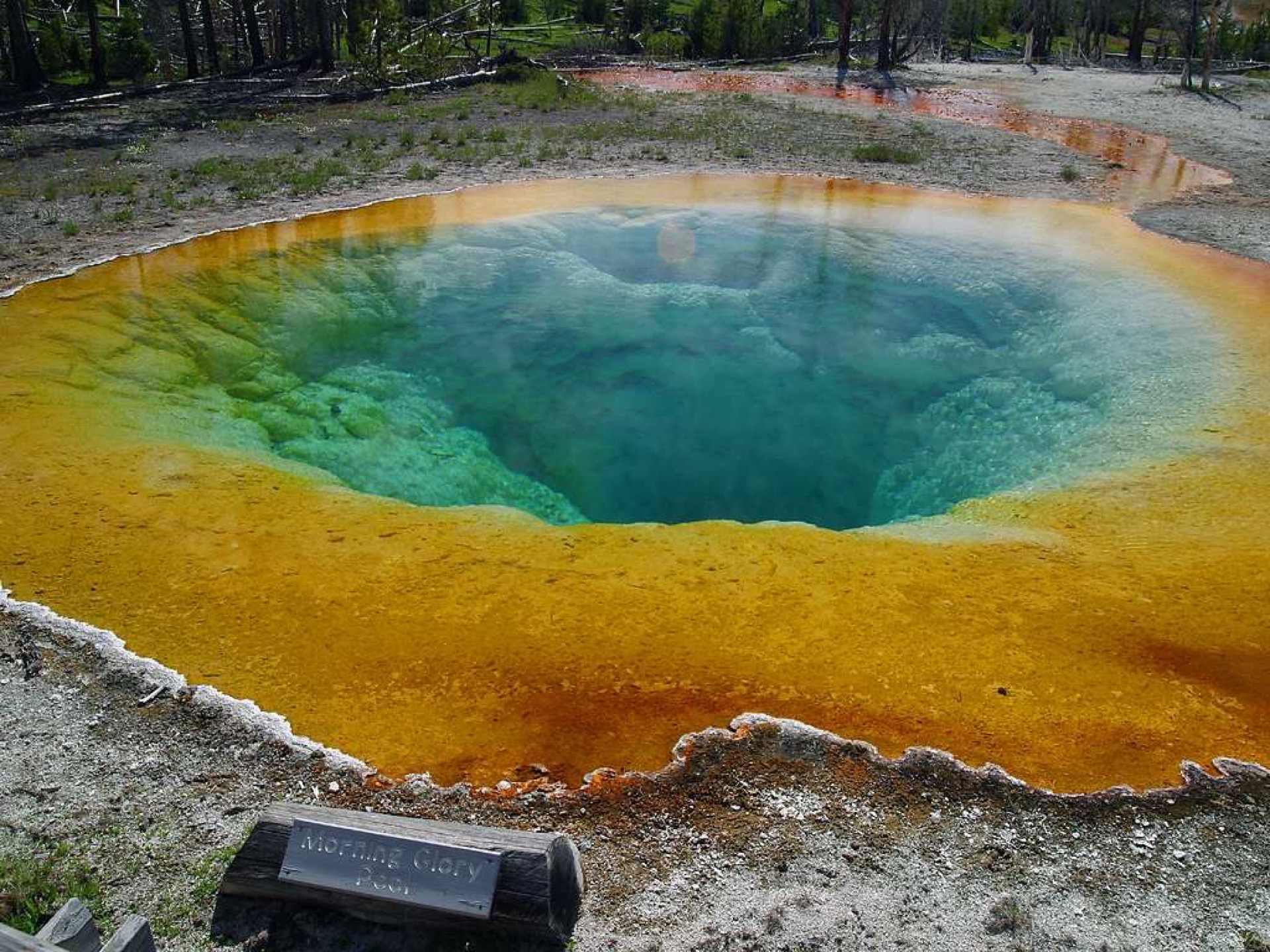 Yellowstone y Grand Teton — el corazón geotérmico