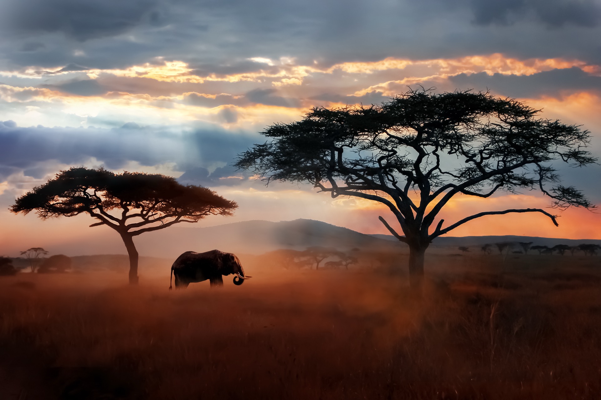 Sudáfrica — Garden Route + Kruger en motorhome