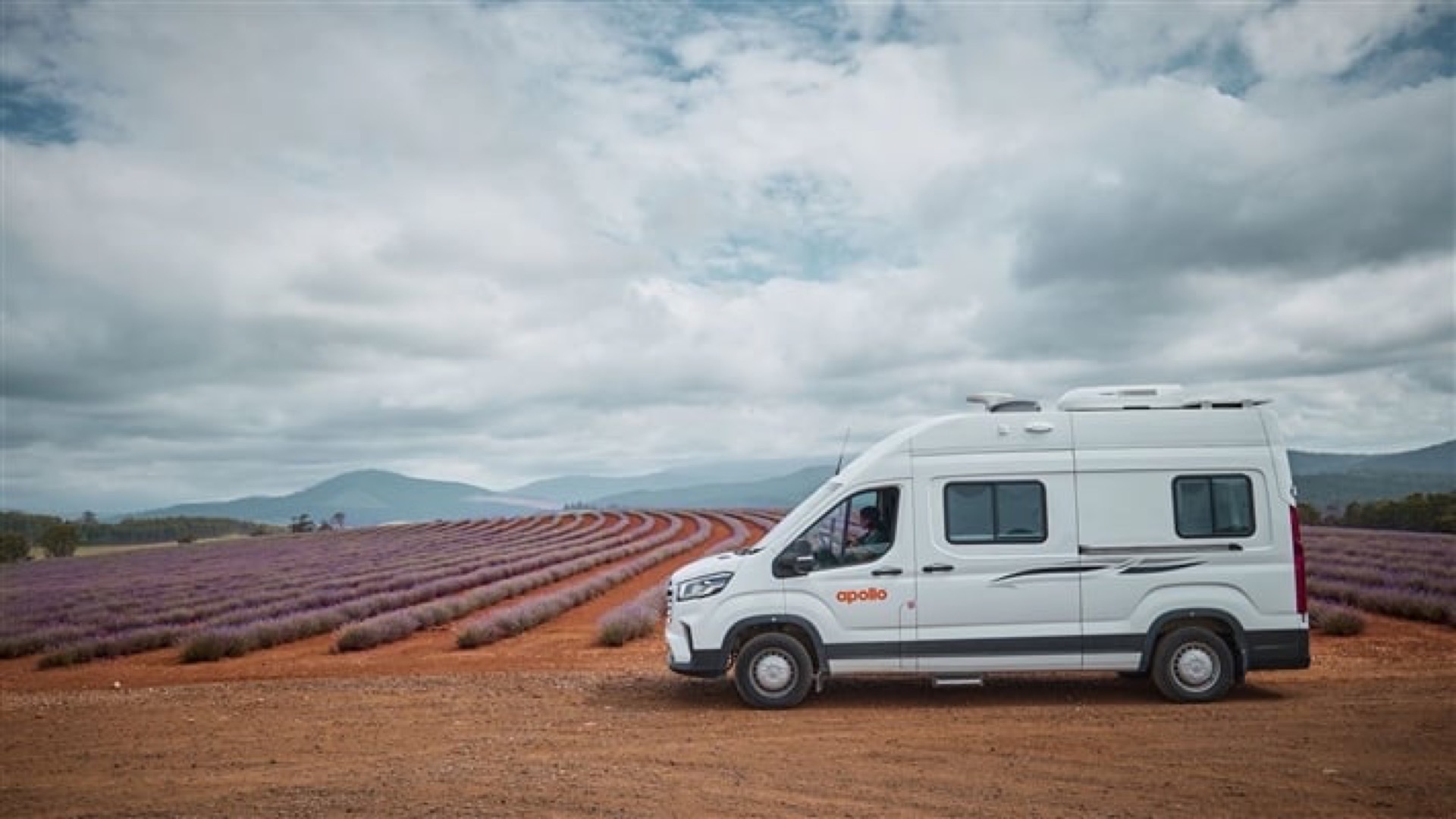 Cederberg + Namaqualand — flores silvestres del Cabo Norte