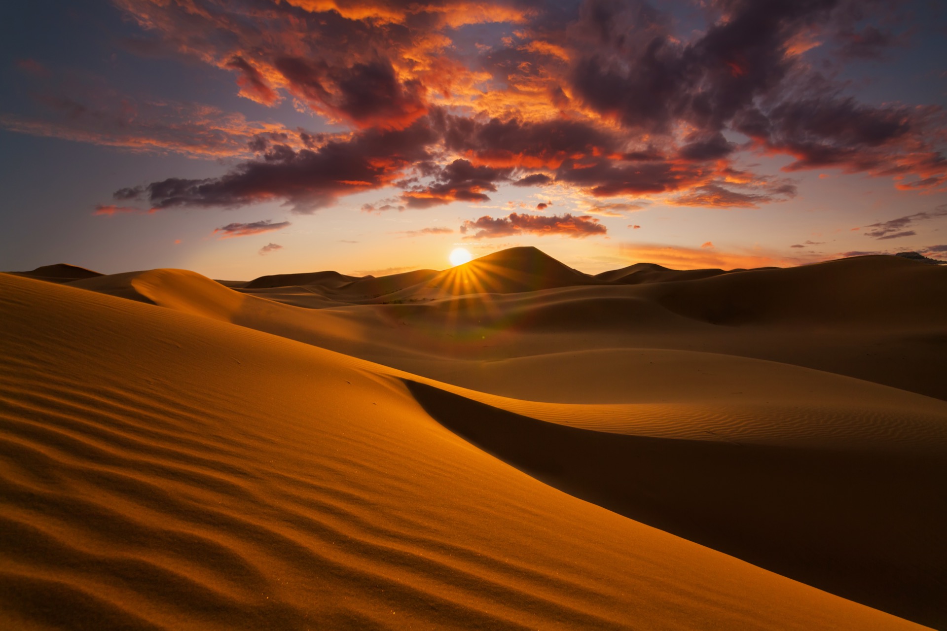 Namibia clásica — Sossusvlei, Etosha, Damaraland 14 días