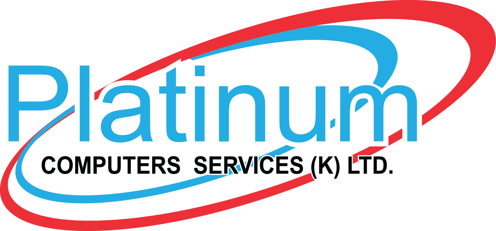 Platinum Computer Services