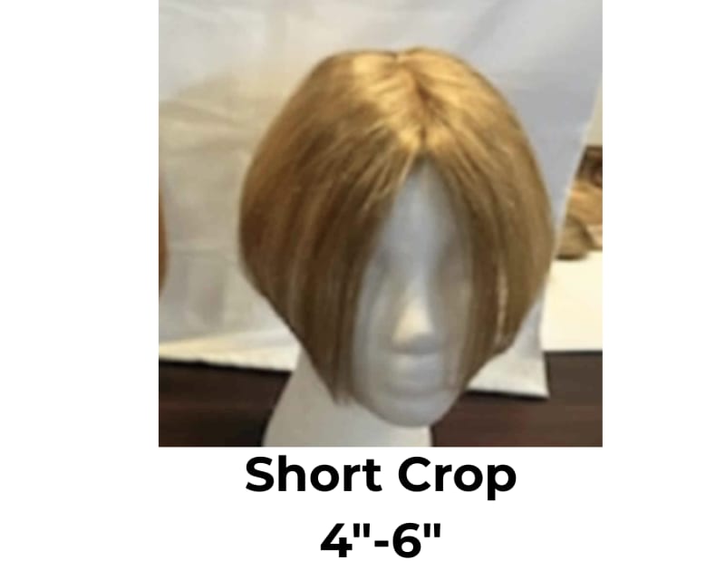 Crop - Human Hair Topper - Your Cost $45   Suggested Retail $150.00+