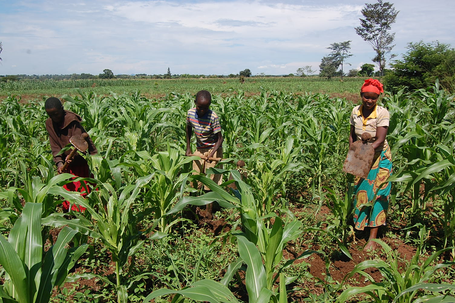 Smallholder farmers partnership