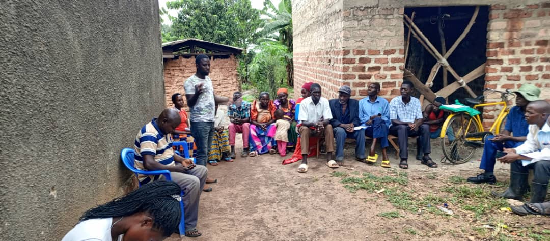 Verification activity in the Karibu project