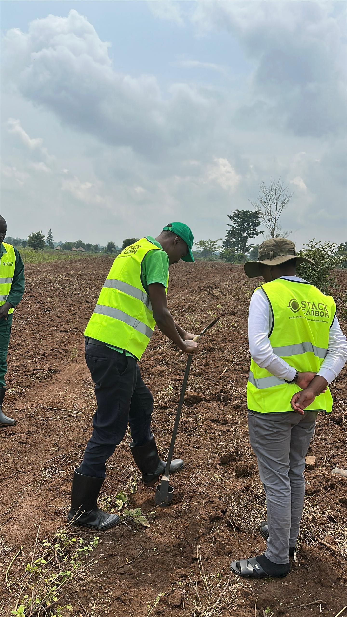 Agriculture and minerals
