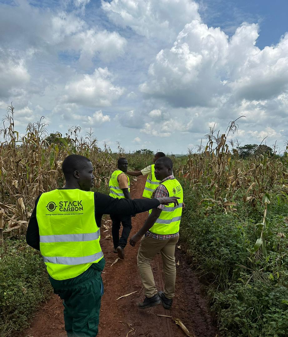 Landscape representing Africa's regenerative potential
