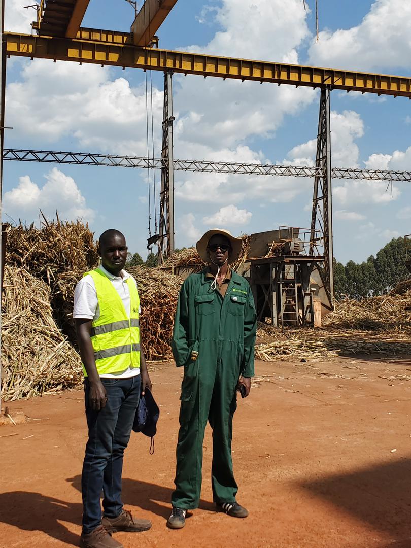 Residues and feedstock