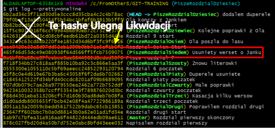 Wgranie dawnego commita / loada / sava - rozwiązanie z twardym resetem.