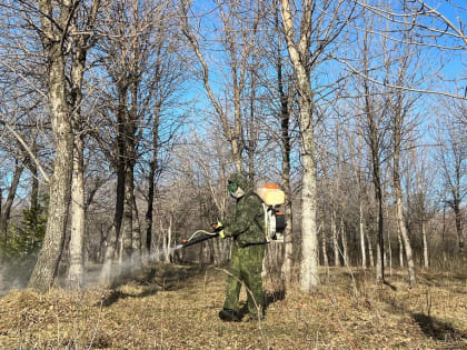 Обработка парков от клещей