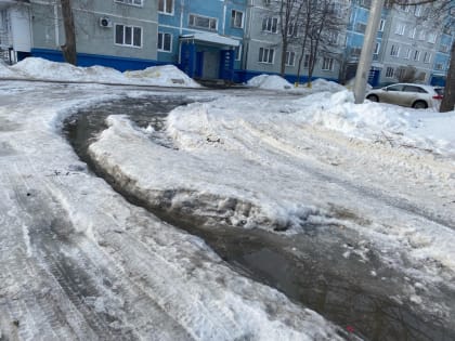 Колея по колено