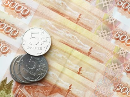 Челябинским предпринимателям и самозанятым доступны субсидии от муниципалитета