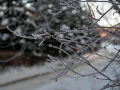 Зарисовки выходного дня: такой разный январь, такой разный Озёрск