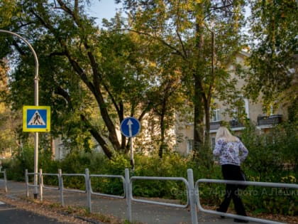Проблемы организации дорожных знаков в городе