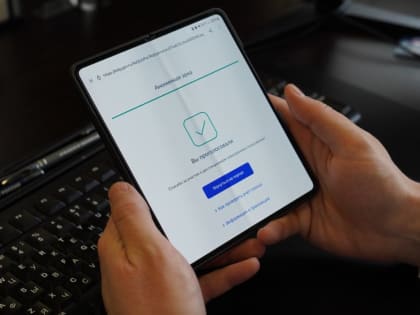 На Южном Урале проголосовали 89% избирателей, выбравшие дистанционную форму участия в выборах