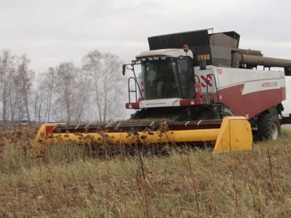 Завершение уборки зерновых в Чесменском районе