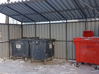 В Челябинске более 200 проблемных контейнерных площадок очистили от мусора за три дня