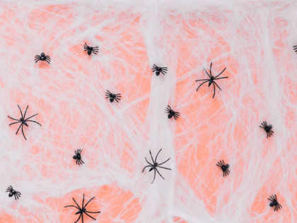 Южноуральцев предупредили о начале сезона клещей