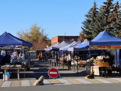 Благоустройство Каслей: шаги к светлому будущему
