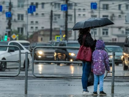 В Челябинской области сохранится дождливая погода